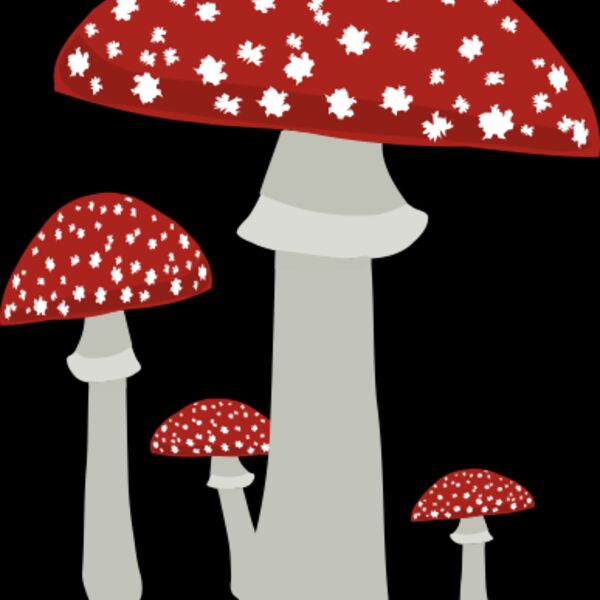 Mushrooms4 Thumbnail