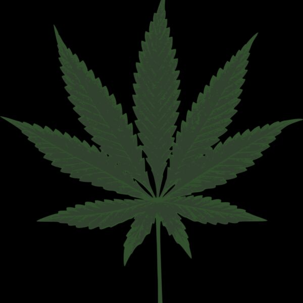kotik cannabis leafs Thumbnail