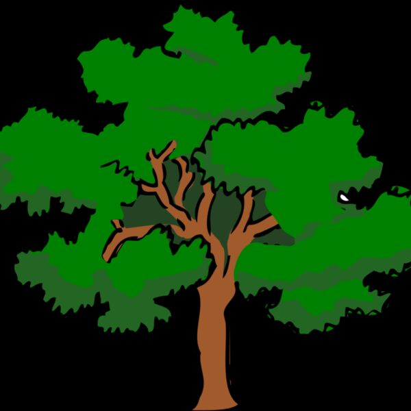 tree oak400px Thumbnail