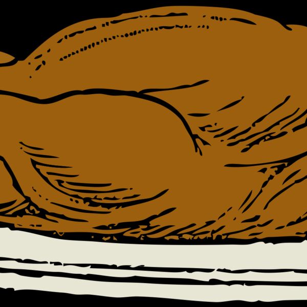 johnny automatic turkey on a platter Thumbnail