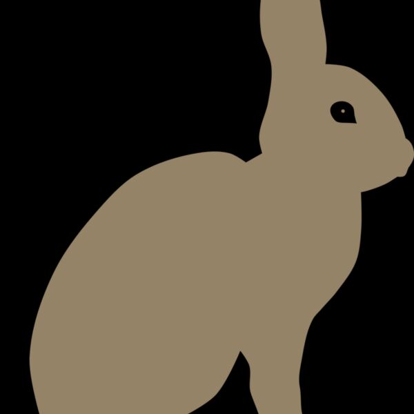 Rabbit by Rones Thumbnail