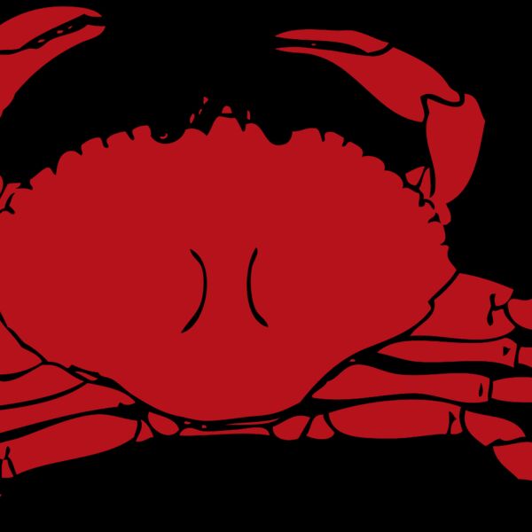 johnny automatic crab Thumbnail