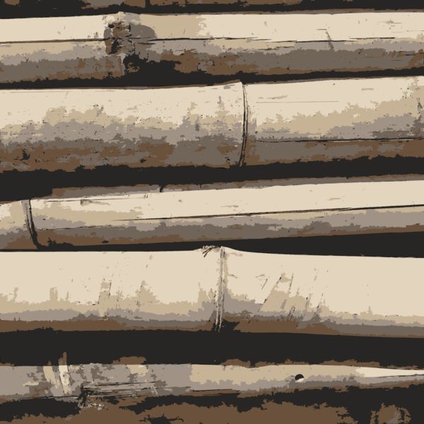 Bamboo Texture  2  Thumbnail