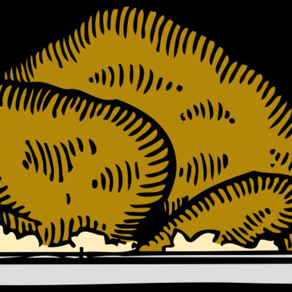 johnny automatic turkey platter Thumbnail