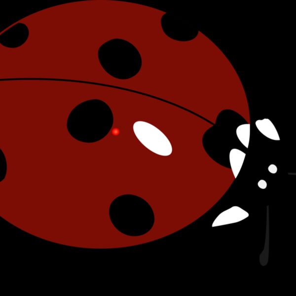 1368310520  2  Thumbnail