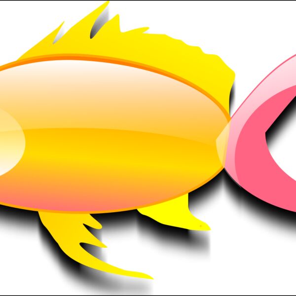 pepinux Pez dorado  gold fish  1 Thumbnail