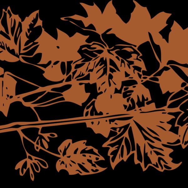 autumn leaves Thumbnail