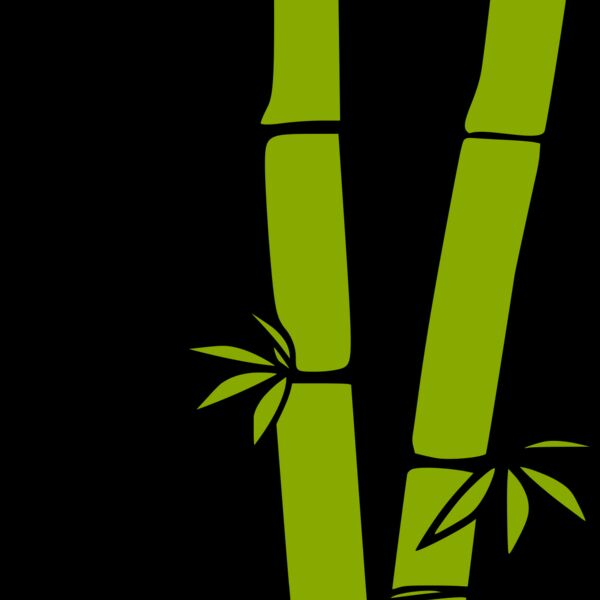 1278992317  2  Thumbnail