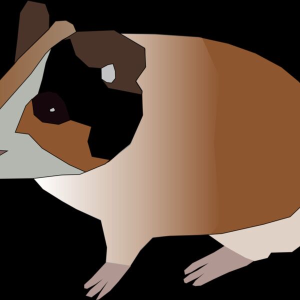 Machovka guinea pig Thumbnail