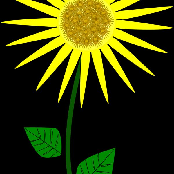 1277568265  2  Thumbnail