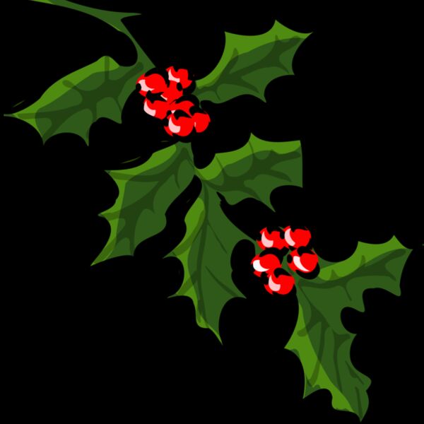 TheresaKnott holly 1 Thumbnail