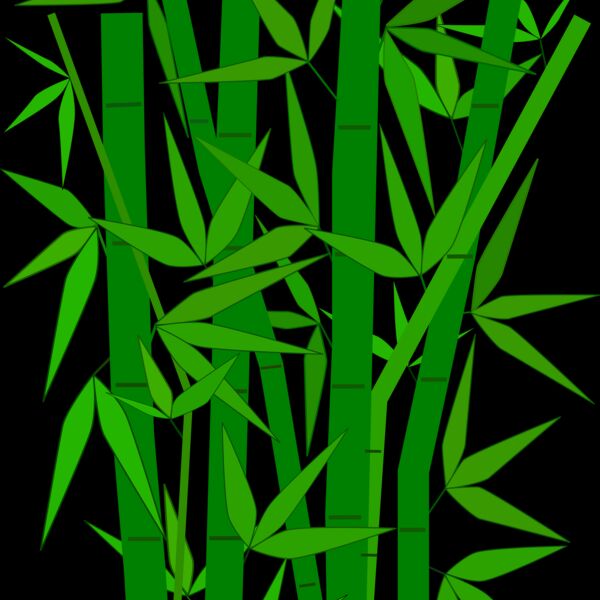 1276359753  2  Thumbnail