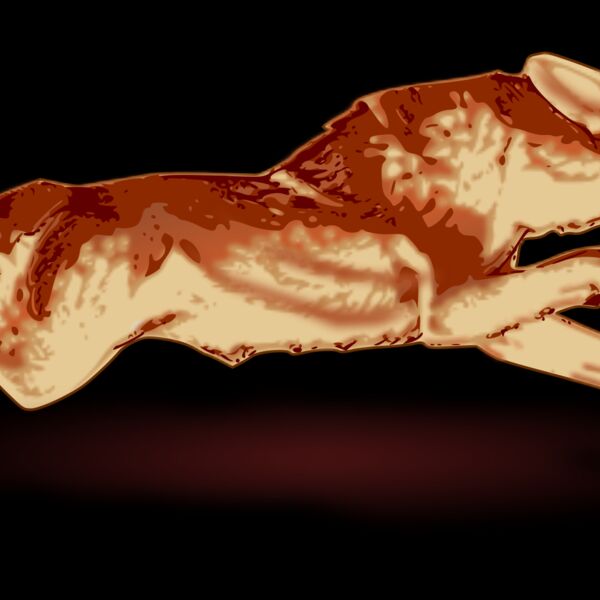 tomas arad fox Thumbnail