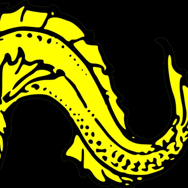 szquirrel dolphin naiant Thumbnail