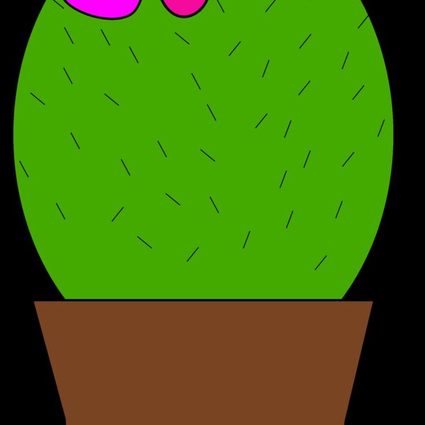 Machovka cactus 1 Thumbnail