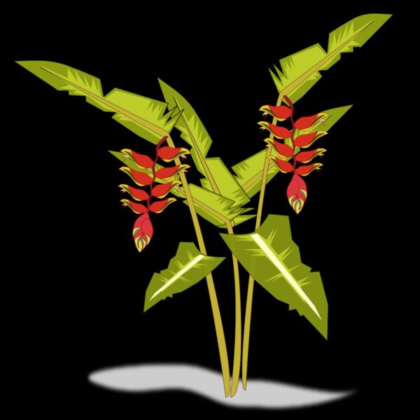 heliconia 01 Thumbnail