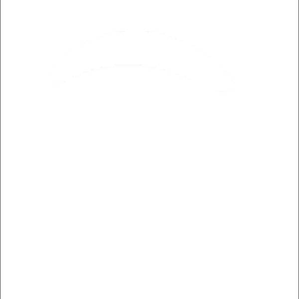 santa penguin Thumbnail