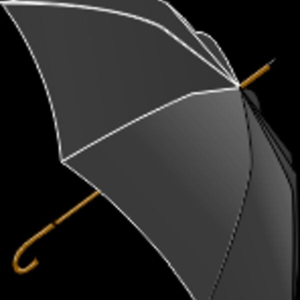 LX Black Umbrella Thumbnail