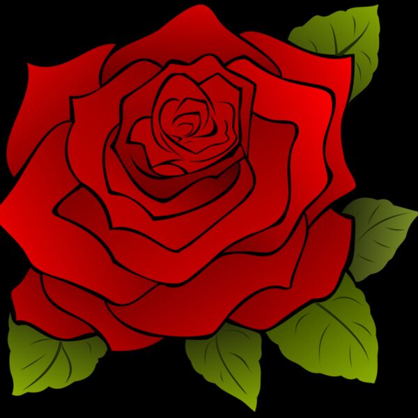 1315549838  2  Thumbnail