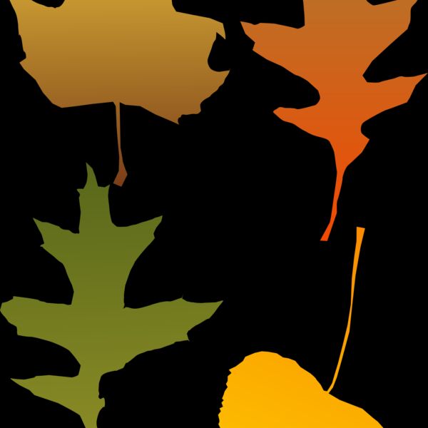autum leaf Thumbnail