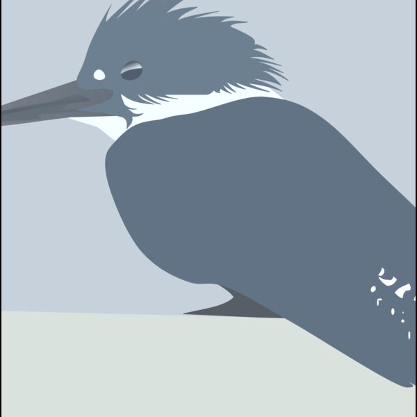 Martin Pescador Thumbnail