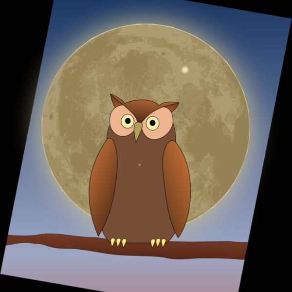 The Owl and The Moon Thumbnail