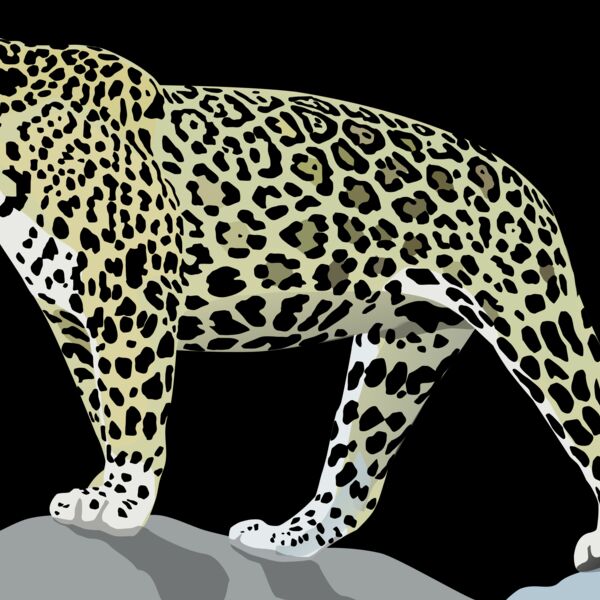 1277871164  2  Thumbnail