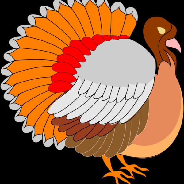 Turkey Thumbnail
