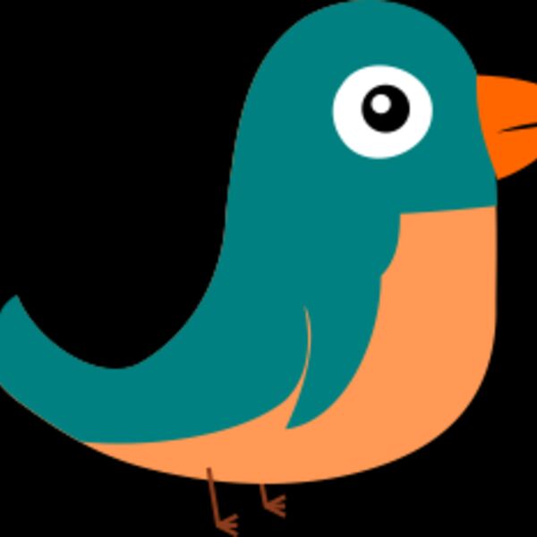 little bird Thumbnail