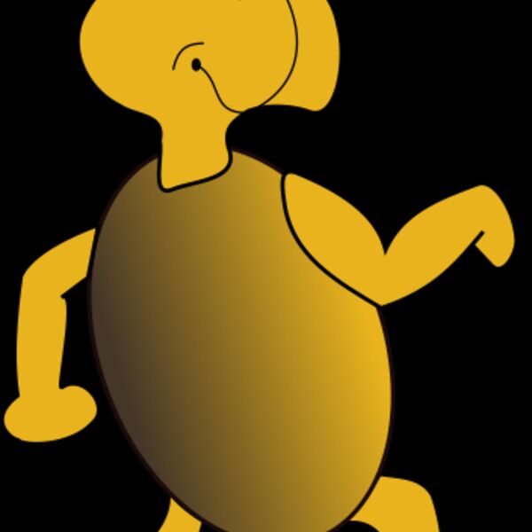 roym tortue2 Thumbnail