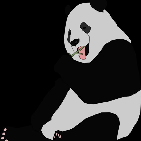 Machovka panda Thumbnail