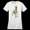 Women's Perfect Weight ® Tee Thumbnail
