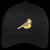 Easy Care Cap Thumbnail