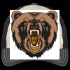 Tri Tone Mesh Back Cap Thumbnail