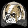 Tri Tone Mesh Back Cap Thumbnail
