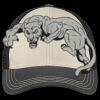 Tri Tone Mesh Back Cap Thumbnail