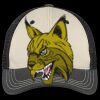 Tri Tone Mesh Back Cap Thumbnail