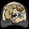Tri Tone Mesh Back Cap Thumbnail