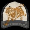 Tri Tone Mesh Back Cap Thumbnail