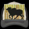Tri Tone Mesh Back Cap Thumbnail