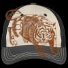 Tri Tone Mesh Back Cap Thumbnail