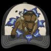 Tri Tone Mesh Back Cap Thumbnail