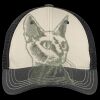 Tri Tone Mesh Back Cap Thumbnail