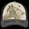Tri Tone Mesh Back Cap Thumbnail
