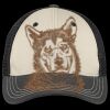 Tri Tone Mesh Back Cap Thumbnail