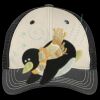 Tri Tone Mesh Back Cap Thumbnail