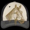 Tri Tone Mesh Back Cap Thumbnail