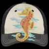 Tri Tone Mesh Back Cap Thumbnail