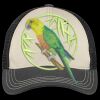 Tri Tone Mesh Back Cap Thumbnail
