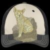 Tri Tone Mesh Back Cap Thumbnail